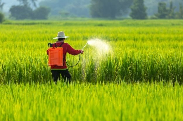 Agriculture